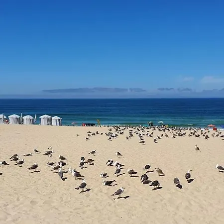 Big Fish 2 - Family Beach